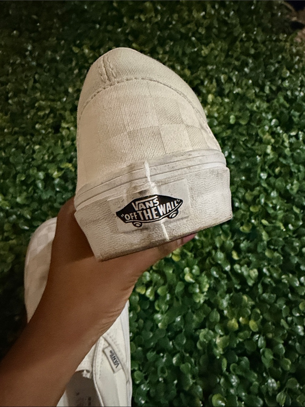 Vans - Picture 5 of 6